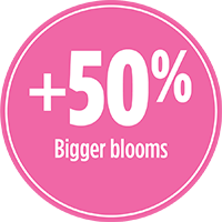 50% bigger blooms with PRO-MIX PREMIUM ORGANIC GARDEN FERTILIZER FLOWER BOOST 3-7-3