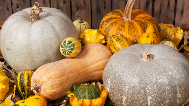 8 winter squash varieties