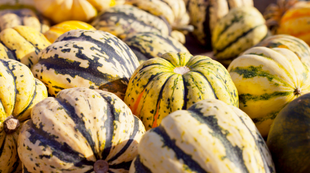 Acorn squash