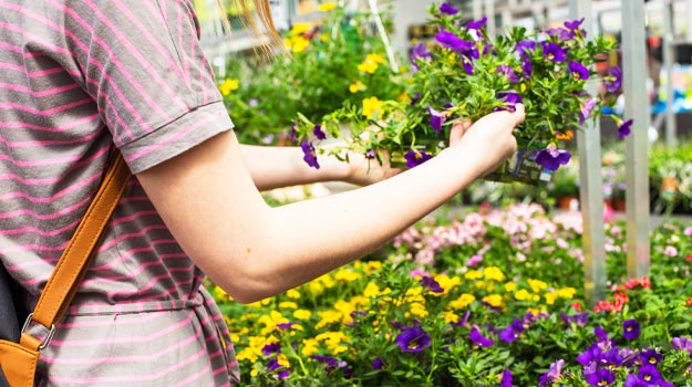 Aide-mémoire pour jardiniers