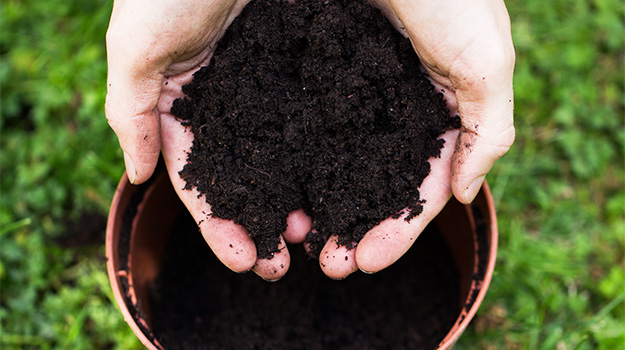 How to make the difference between earth and soil