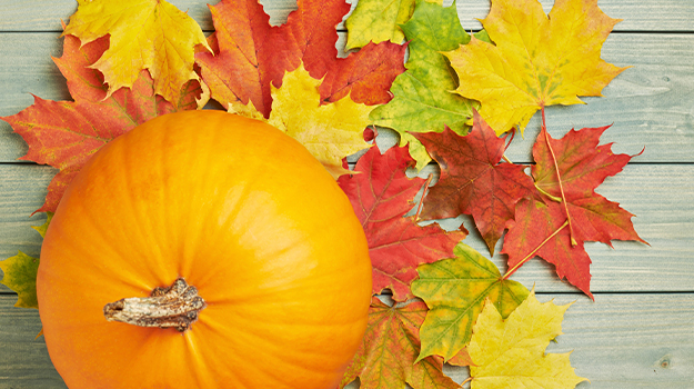 Leafy pumpkin