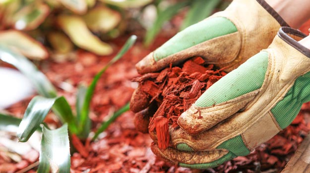 promix-gardening-mulch