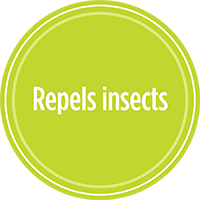 Repels lawn insects with PRO-MIX LAWN INSECT DEFENSE GRASS SEED