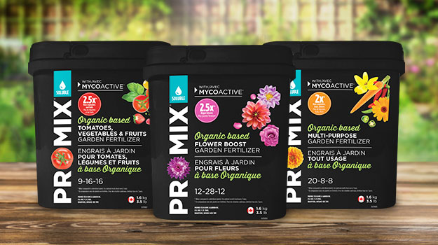 Promix-Gardening-Soluble-Fertilizer