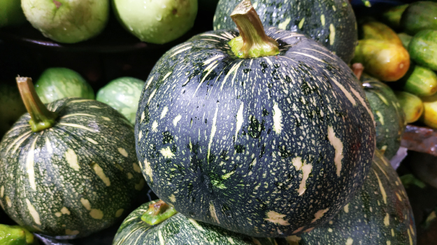 Buttercup squash