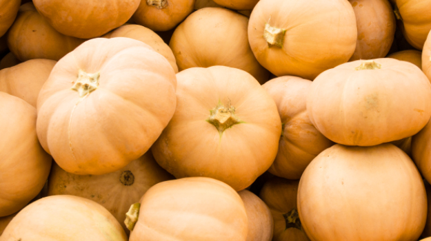 Butterkin squash