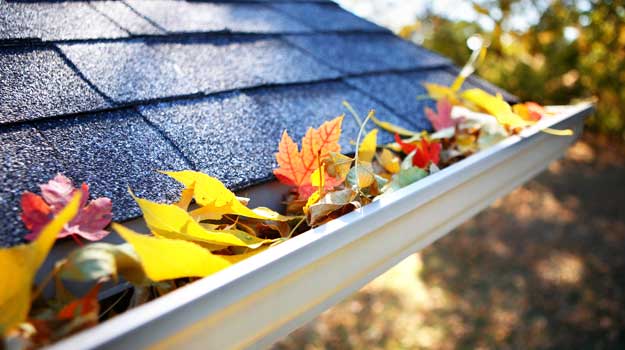 Clean debris from gutters