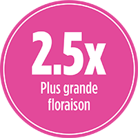 2.5x plus de grande floraison avec PRO-MIX ENGRAIS À JARDIN POUR FLEURS BASE ORGANIQUE 12-28-12