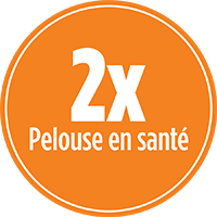 ENGRAIS À GAZON PRO-MIX POUR PROTECTION HIVERNALE 10-0-32 pour une pelouse 2x plus en santé