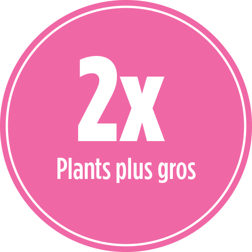 2x des plants plus gros avec FARINE DE SANG ORGANIQUE PRO-MIX PLANTBOOST 8-0-0