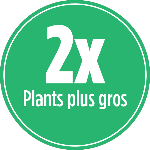 2x des plants plus gros avec la FARINE D'OS ORGANIQUE "BLOOMBOOST" 4-7-0 de PRO-MIX