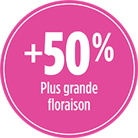 50% plus grande floraison avec PRO-MIX ENGRAIS À JARDIN POUR FLEURS BIOLOGIQUE 3-7-3