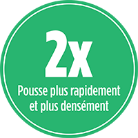 Votre pelouse pousse 2x plus rapidement et plus densement avec PRO-MIX SEMENCES GAZON ANTI-MAUVAISES HERBES