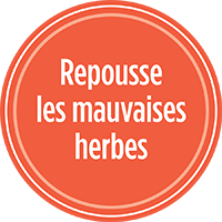 Repousse les mauvaises herbes de votre pelouse avec PRO-MIX SEMENCES GAZON ANTI-MAUVAISES HERBES