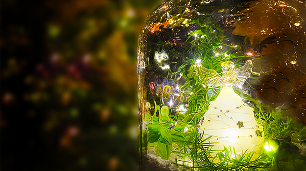 promix-photophore-noel-terrarium-02