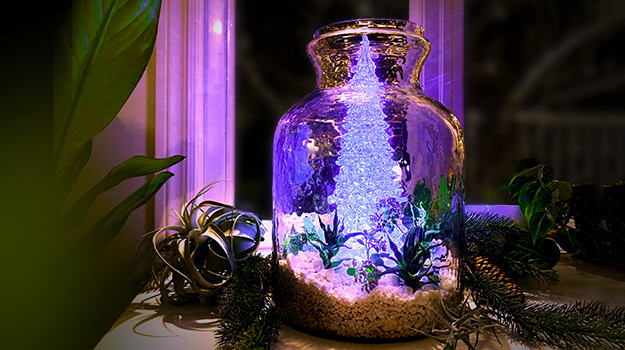 promix-photophore-noel-terrarium-03