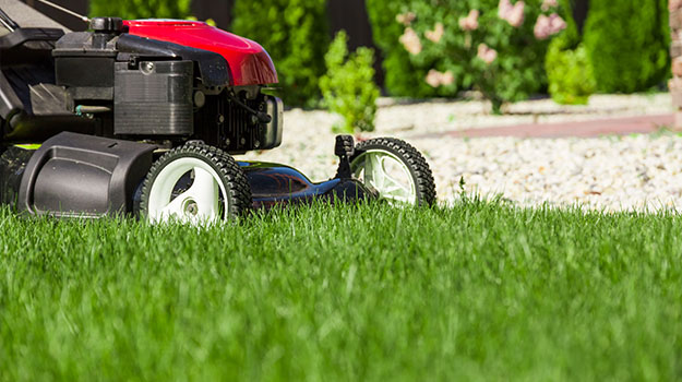 Mowing The Lawn: What Not To Do