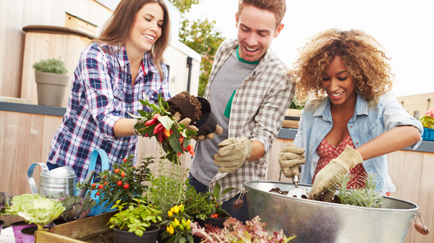 5 plantes pour les jardiniers qui débutent