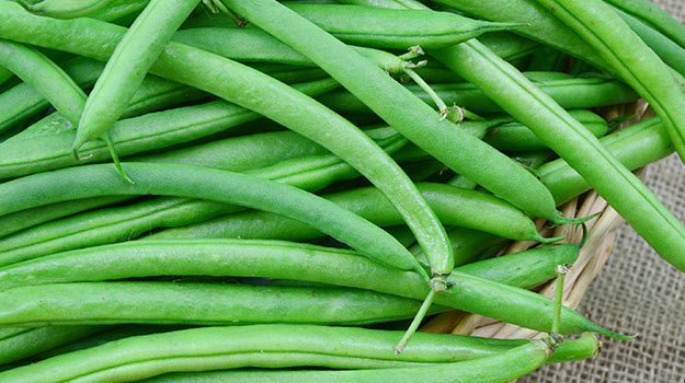 How To Grow Beans: Bush beans