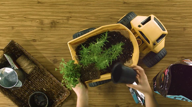 Placer votre plant d’herbes. Recouvrir de terreau et arroser