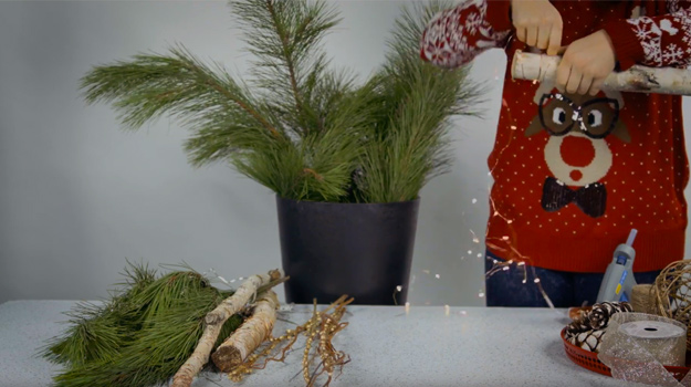 Wrap the Christmas lights around the birch branches