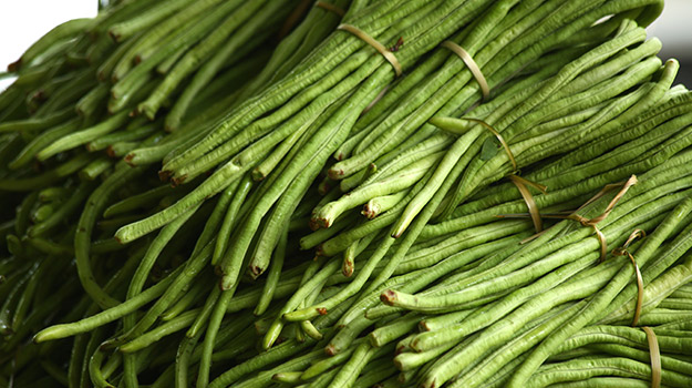 Yardlong beans (Vigna unguiculata ssp. Sesquipedalis)