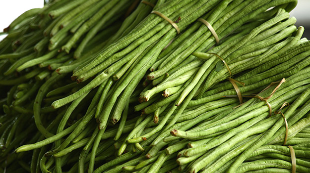 Dolique asperge (Vigna unguiculata ssp. Sesquipedalis)