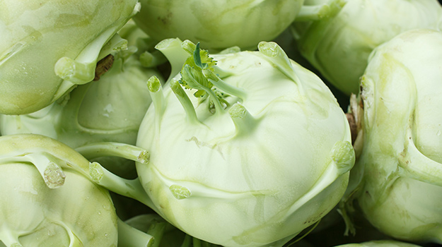 Kohlrabi (Brassica oleracea v. gongylodes)