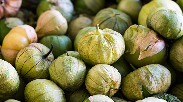 Tomatillo (Physalis philadelphica)