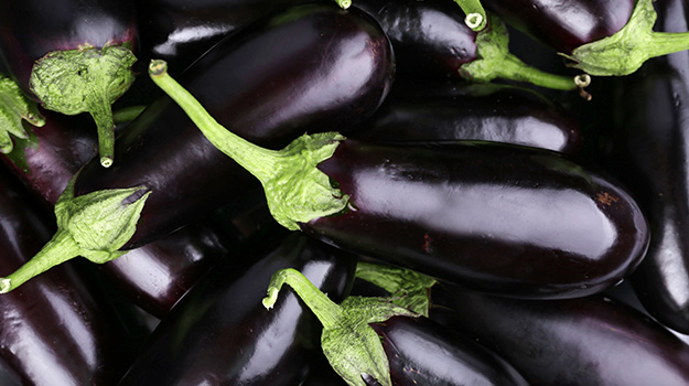 Eggplants are easy vegetables to grow for beginners