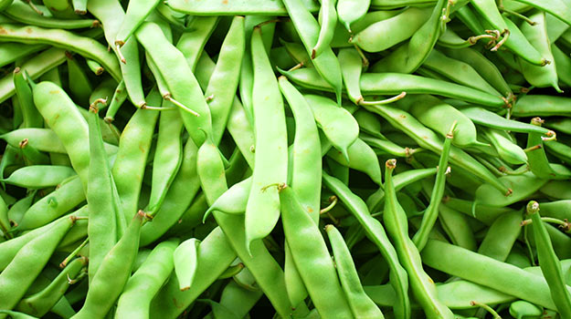 How To Grow Beans: Pole beans