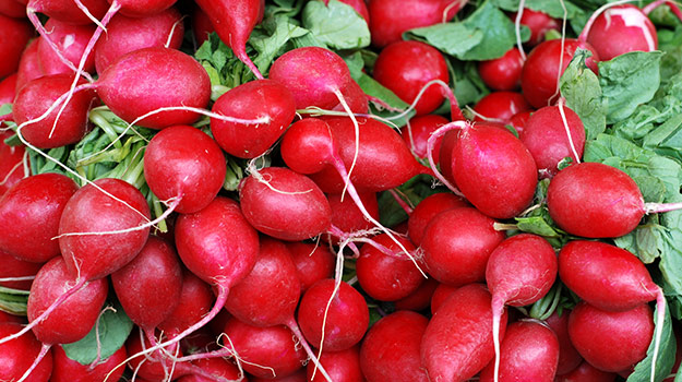 Radishes