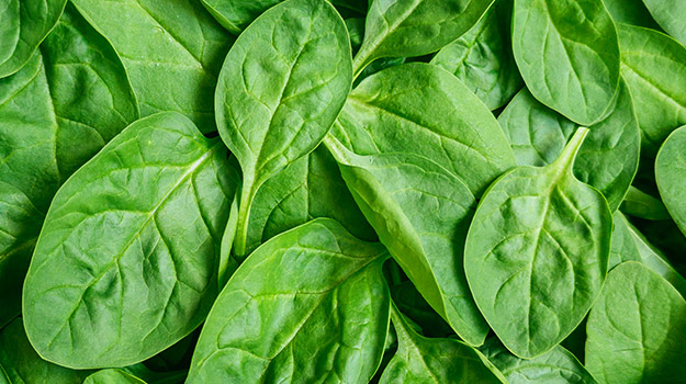 Spinach