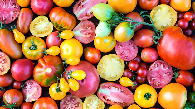 Les tomates