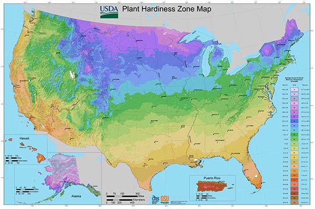 Zone de rusticité des plantes aux USA