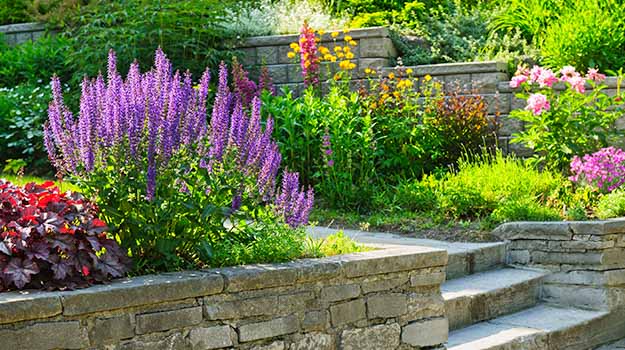 Un joli jardin bien entretenu