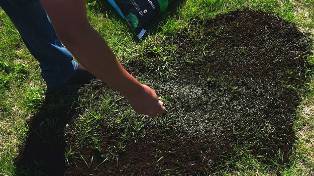Spread a thin layer of new lawn soil