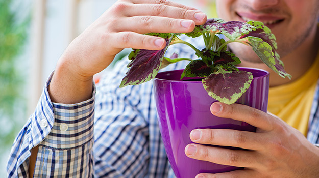 Que faire dans son jardin au mois d'avril