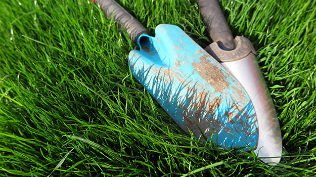 Gardening tool on lawn