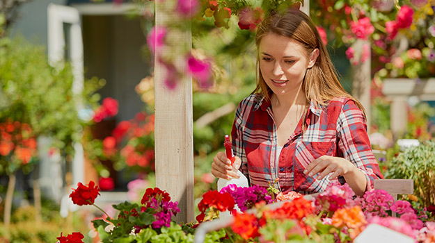 Gardener using insecticidal soap on her plants