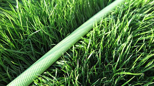 Lawn closeup with hose