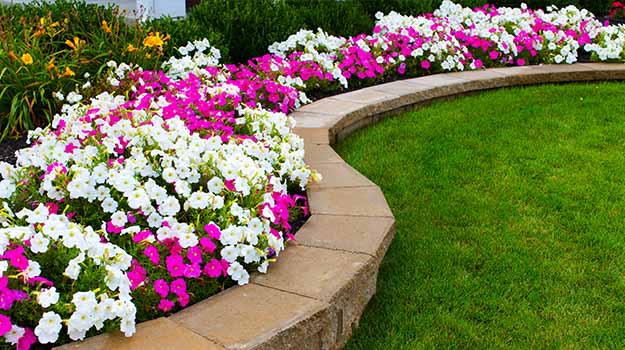 Créer vos arrangements floraux extérieurs