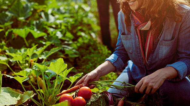 Summer is just around the corner. Gardening in April