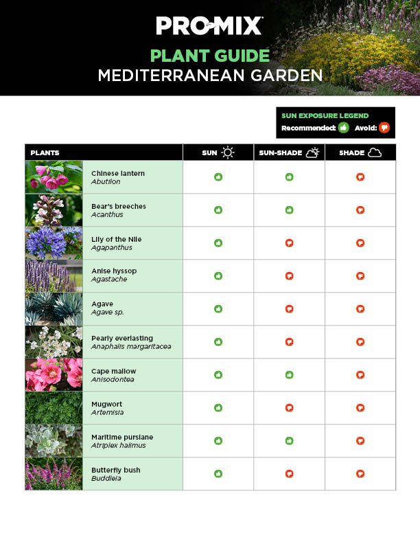 mediterranean-plant-guide-01