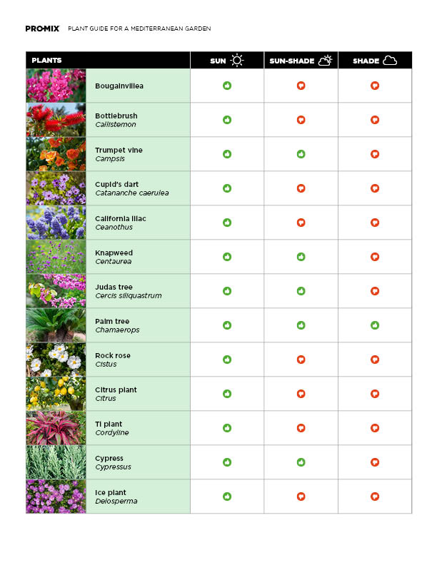 mediterranean-plant-guide-02