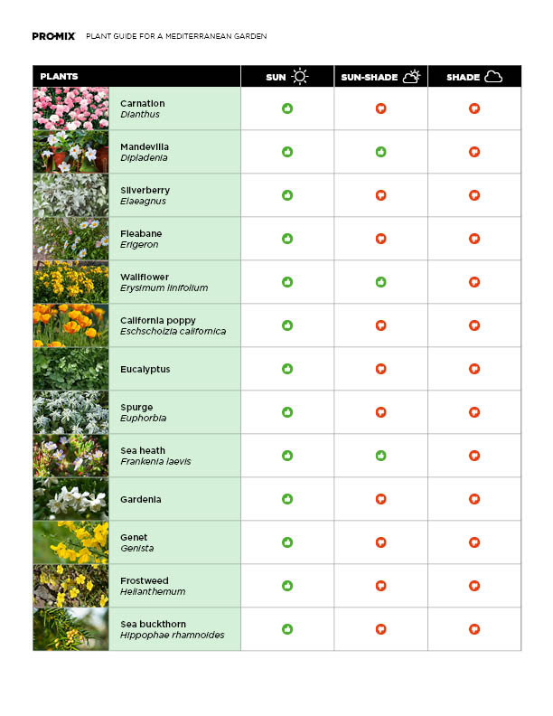 mediterranean-plant-guide-03