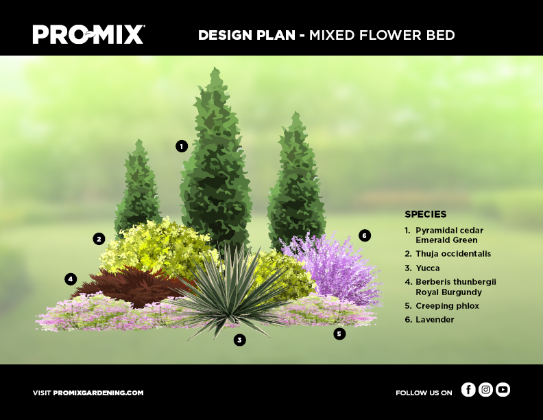 mixted-flower bed-design-plan
