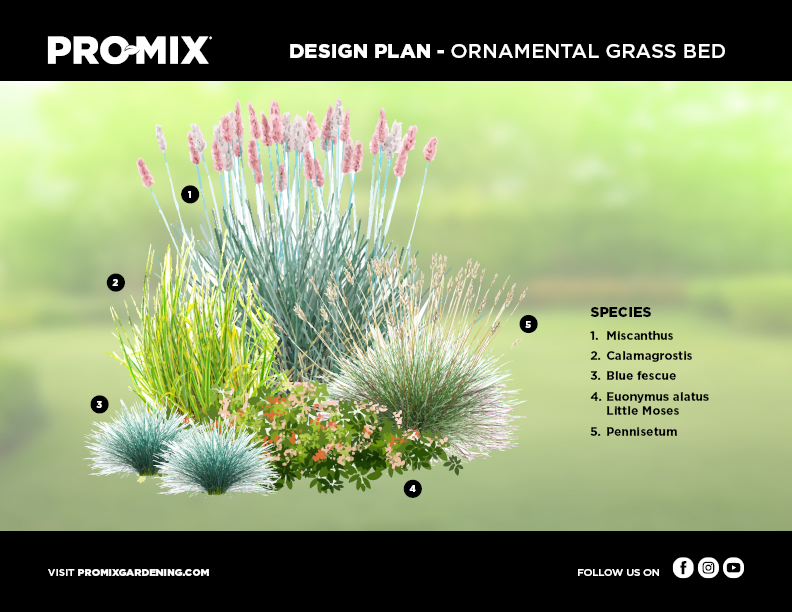 ornamental-grass-design-plan