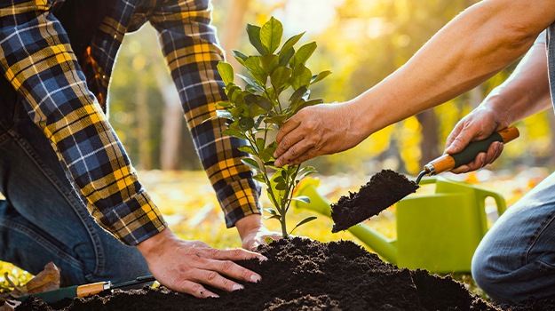 pro-mix- how-to-use-root-booster-fertilizer-04